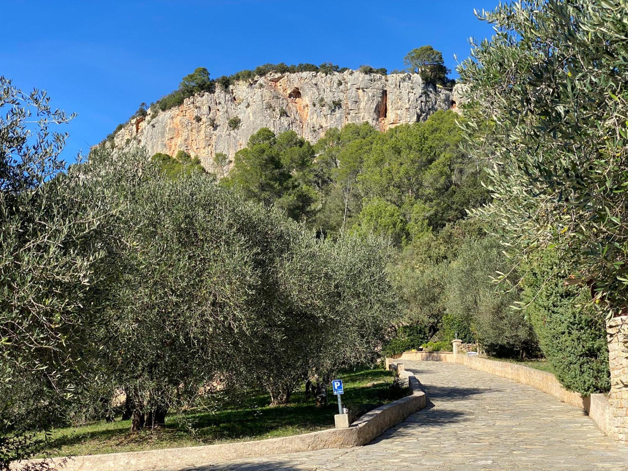 Le Mas De San Lou Cabasse Buitenkant foto